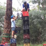 Crate Stacking